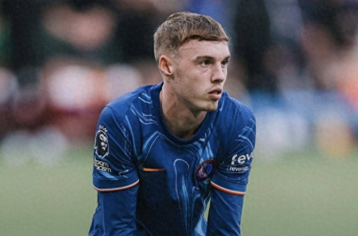 发售22周 发售22周